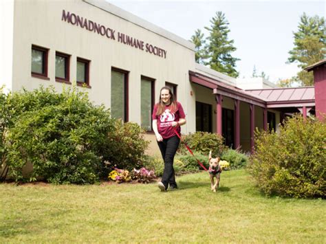 Monadnock humane society in swanzey nh - Monadnock Humane Society. 101 West Swanzey Rd. West Swanzey, NH 03469. Get directions. view our pets. adoption@humanecommunity.org. (603) 352-9011. Today's hours: 11-3. Finding pets for you… Submit Your Happy Tail. Tell us the story of how you met your furry best friend and help other pet lovers discover the joys of pet adoption! 
